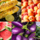 produce in season July and August