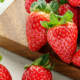 Celebrating National Strawberry Month with Some Old Recipe Favorites