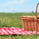 What to Put in Your Picnic Basket to Celebrate National Picnic Month