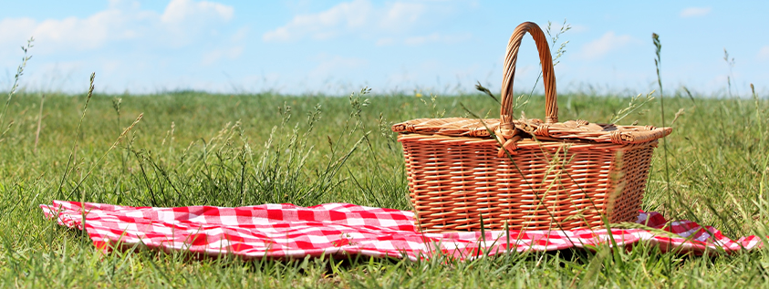 What to Put in Your Picnic Basket to Celebrate National Picnic Month