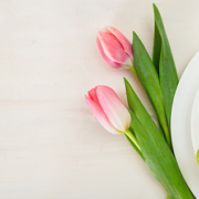 Easter table setting with pink tulips